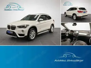 BMW X1 sDrive 18i xLine Navi Temp LED PDC Klima MFL