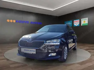 Skoda Fabia Combi 1.0 TSI Ambition*PDC*NAVI*COMFORT*