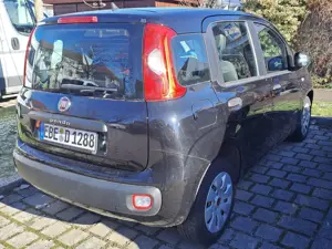 Fiat Panda Panda/Pandina 1.2 Easy Bild 3