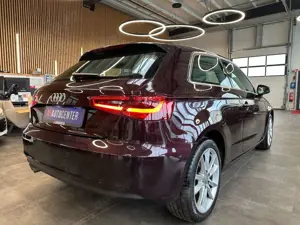 Audi A3 attraction *Panorama*Klima*Freisprech*Xenon* Bild 5