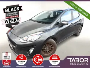 Ford Fiesta 1.0 EcoBoost 100 Vignale SHZ Temp Klima