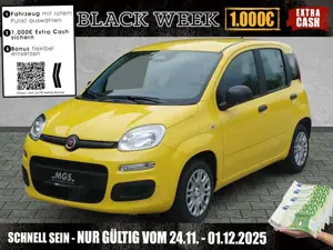 Fiat Panda MY25 Hybrid 1.0 GSE #DAB # BT #PDC #KLIMA