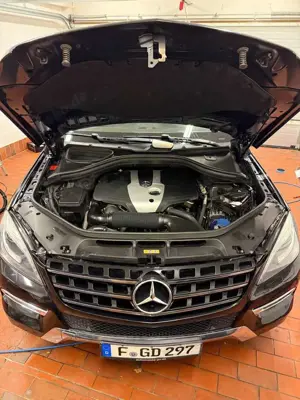 Mercedes-Benz ML 250 ML 250 CDI BlueTec (166.004)
