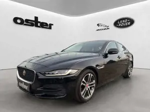Jaguar XE P250 S|Leder Beige|Winter-Paket|Ambiente