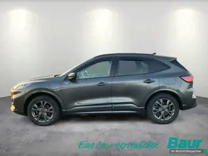 Ford Kuga 2.5 Duratec PHEV ST-LINE X Winter-Paket Bild 3