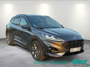 Ford Kuga 2.5 Duratec PHEV ST-LINE X Winter-Paket Bild 2