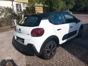 Citroen C3 Shine Bild 4