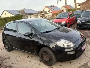 Fiat Punto Bild 3