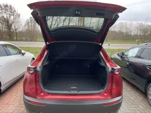 Mazda CX-30 e-SKYACTIVE G 150 SKYACTIV-Drive EXCLUSIVE-LINE Bild 5
