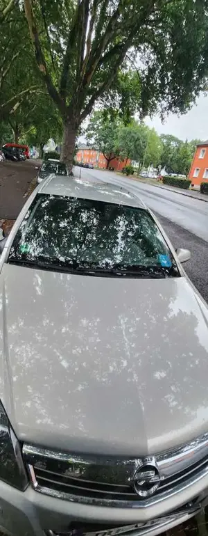 Opel Astra Astra 1.8 Caravan Automatik Innovation 110 Jahre Bild 1