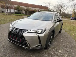 Lexus UX 250h Executive Line