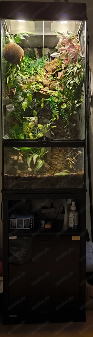 Terra mit Unterschrank von Exo Terra mit Beleuchtung und Heizmatt