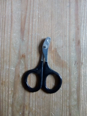 Krallenschere für Haustiere.