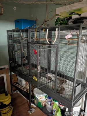 Vogelvoliere-Montana new Madeira Double 