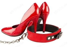 Der Mann für das Paar