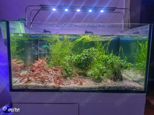 Aquarium Sondermaß