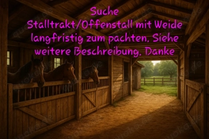 Stalltrakt Scheune Offenstall mit Weide zur Pacht geaucht