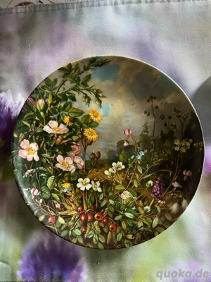 Fürstenberg Teller  Im Hochmoor    Hans Graß   Wilde Schönheiten