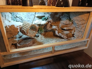 Terrarium 120x60x60 mit Beleuchtung und Zubehör neuwertig 