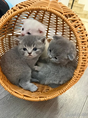 sind grad alle reserviertt !!!!