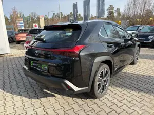 Lexus UX 250h Luxury Line LED, Kamera, Schiebedach, HUD Bild 4