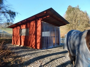 Vollpension Pferdepension, ganzes Jahr Weidenzugang, gern Rentner