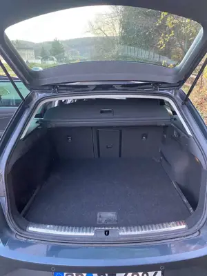 SEAT Leon Bild 4