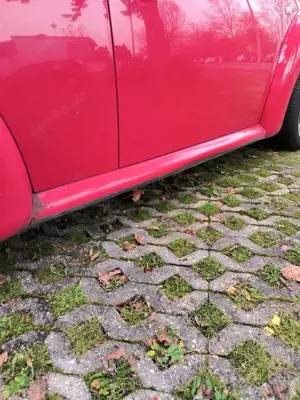 Volkswagen New Beetle 2.0 Bild 3