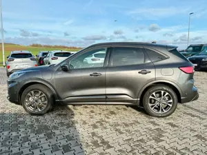 Ford Kuga Plug-In Hybrid ST-Line X AHK LED BO Bild 4
