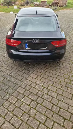 Audi A5 3.0 TDI Sportback quattro DPF Bild 5