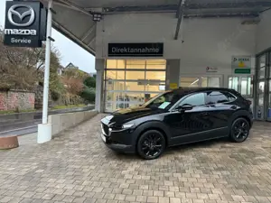 Mazda CX-30 Homura Sky-G 150 Drive Automatik Bild 2