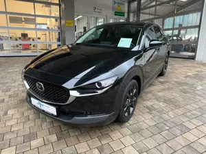 Mazda CX-30 Homura Sky-G 150 Drive Automatik Bild 3