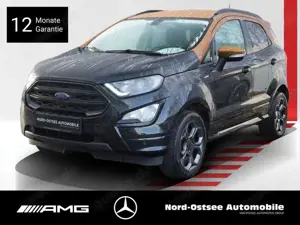Ford EcoSport 1.0 ST-LINE KAMERA BI XENON SHZ TEMPO
