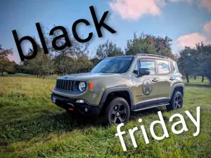 Jeep Renegade Trailhawk BJ 15'  "Einzelstück by Pauli"