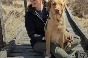 Wurfankündigung Labradorwelpen Dezember 2025