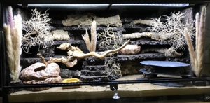 Terra Fix & Easy 90, Terrarium