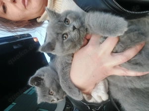 BKH Junge und Mädchen