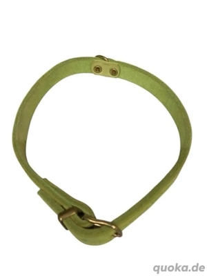 Hundehalsband von Karlie