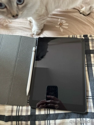 iPad mit Hülle + iPen zu verkaufen