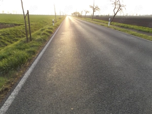 Dein Tier stressfrei transportieren * Tierkommunikation * ohne Stress