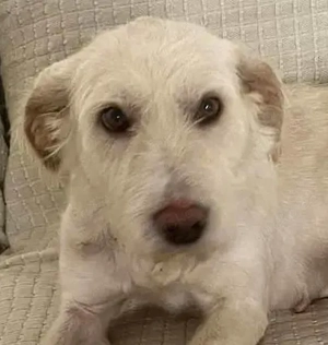  Goldige Solis sucht ihre Familie 