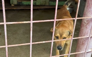 Schenkst du Oski Mut und Selbstvertrauen Bild 4