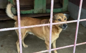 Schenkst du Oski Mut und Selbstvertrauen Bild 3