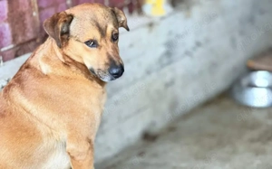 Schenkst du Oski Mut und Selbstvertrauen