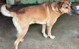 Schenkst du Oski Mut und Selbstvertrauen Bild 2