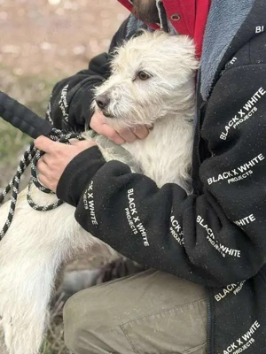 Liebe Maus sucht neuen Wirkungskreis