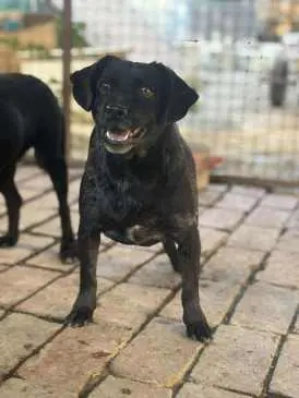 Schüchterne Maus sucht ruhiges Zuhause