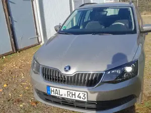 Skoda Fabia Fabia Combi 1.0 MPI