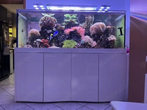 Meerwasser-Komplettauflösung   1000L Besatz + GHL-Technik + LEDs   VB 4500  