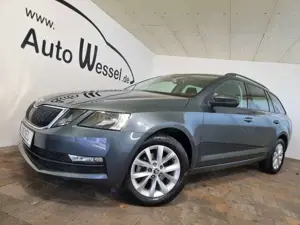 Skoda Octavia Ambition DSG Navi Klima Tempomat Kamera